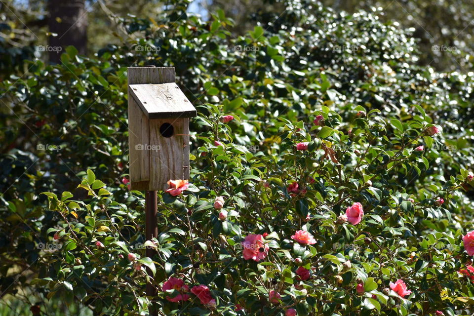 Flower Garden birdhouse