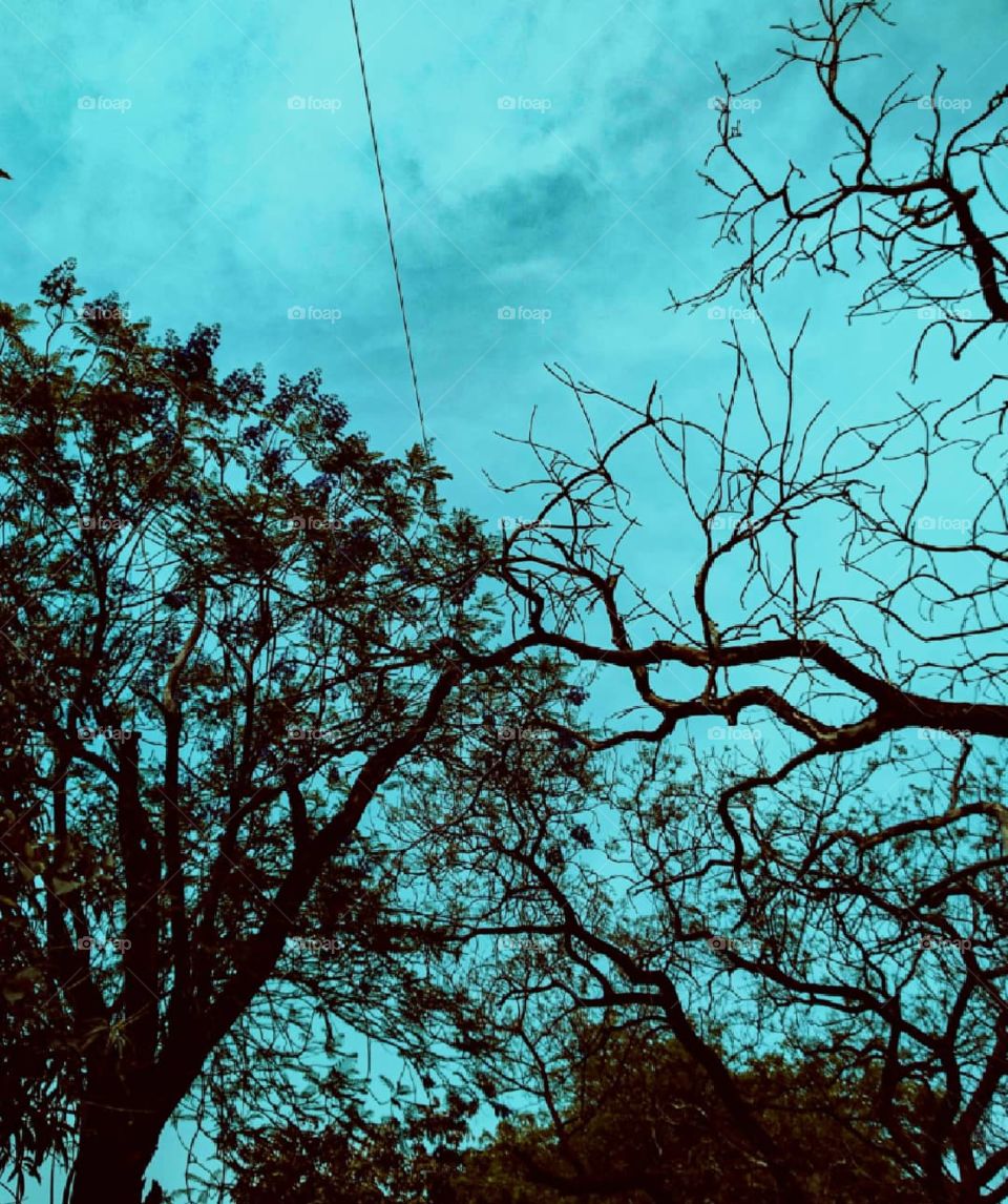 aesthetic nature🌿🍃