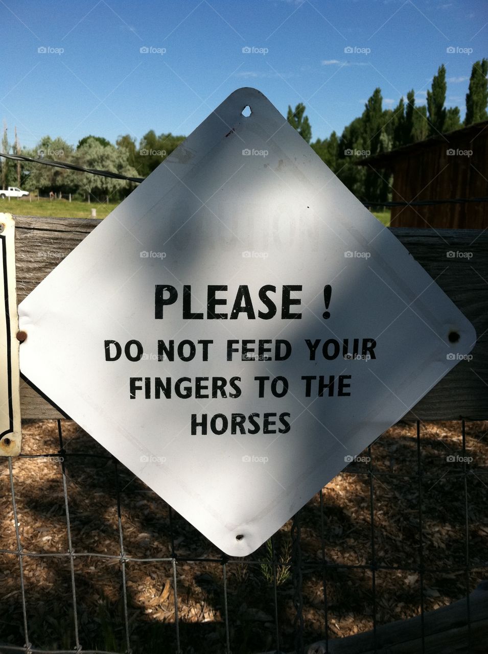 Please Do Not Feed Fingers