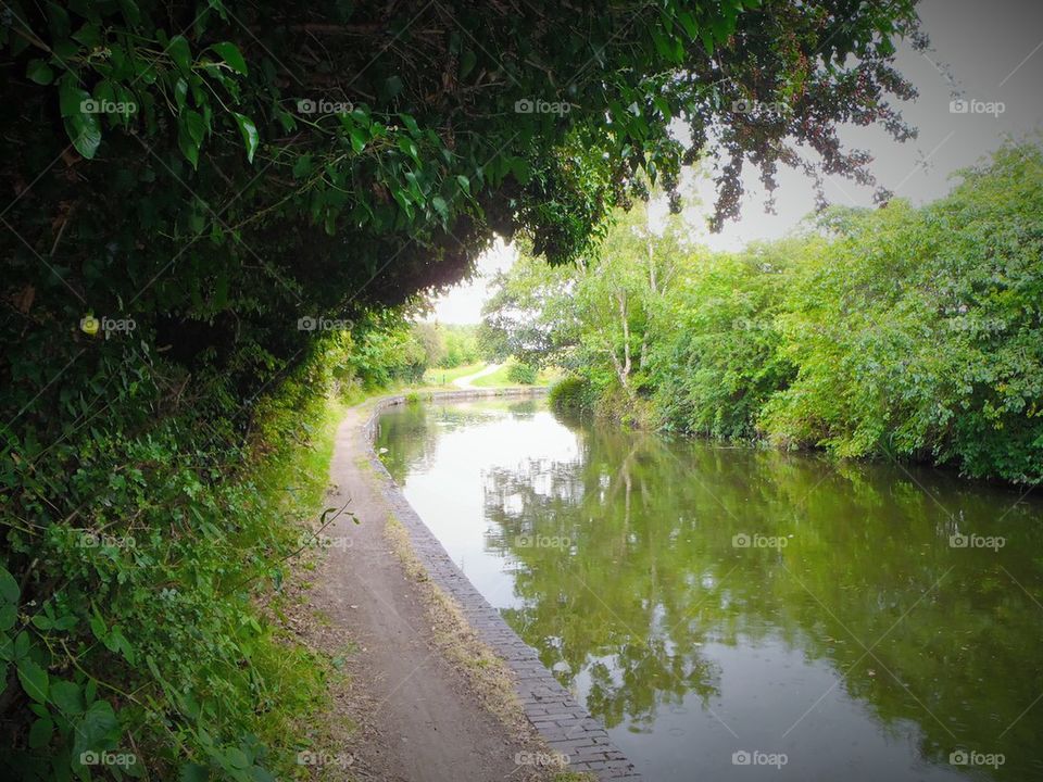 Shades and reflections 