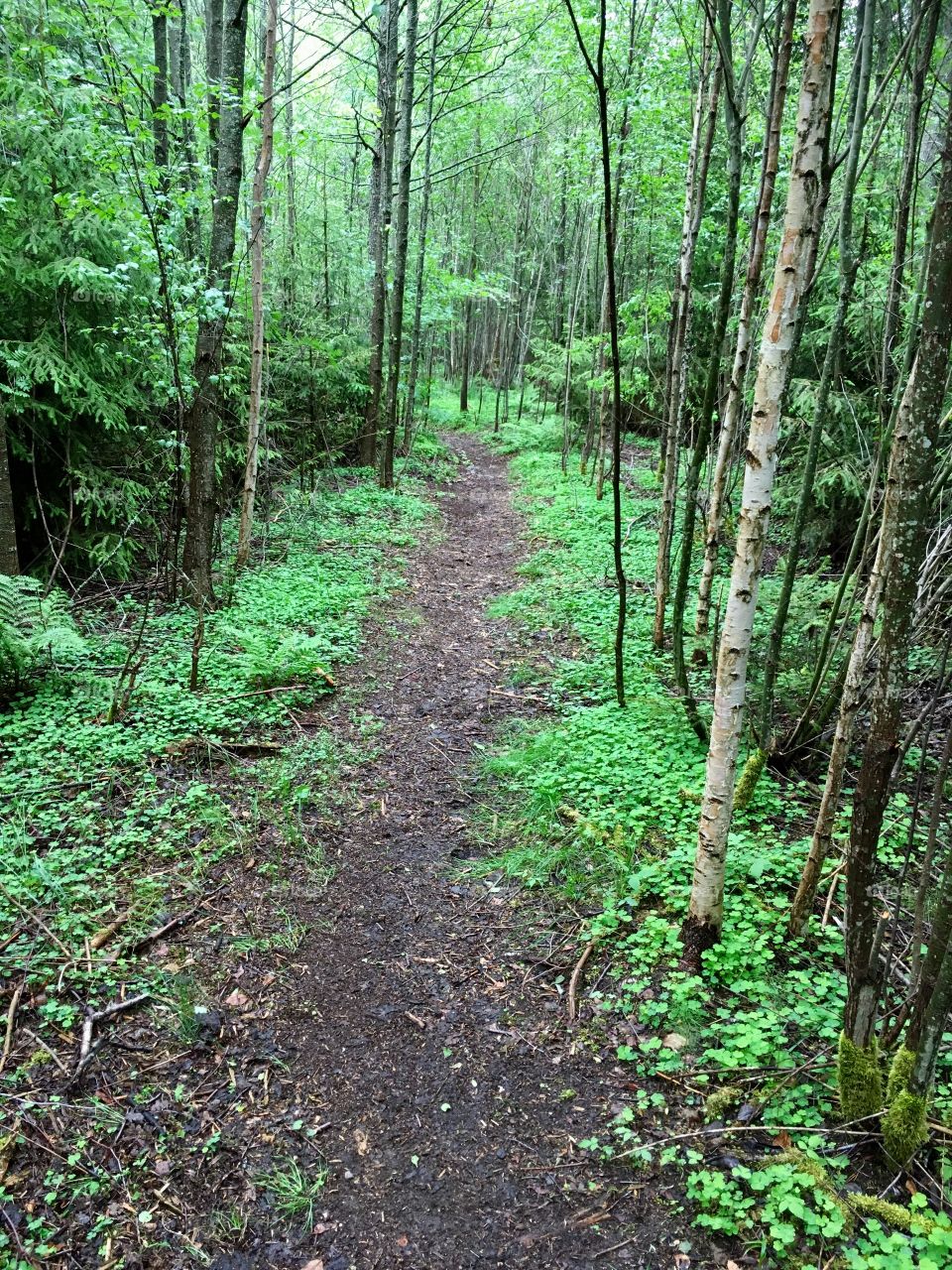 Hiking trails