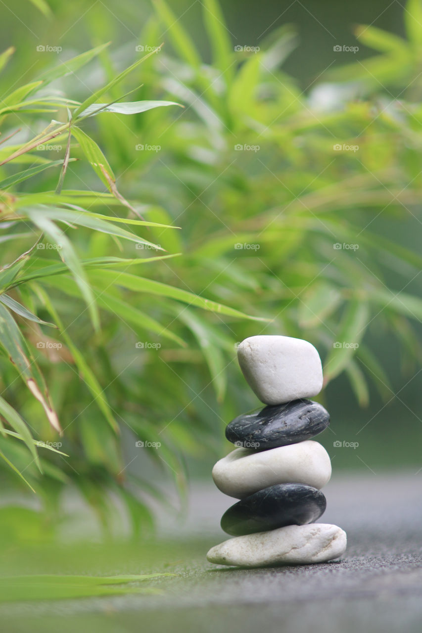 Zen 