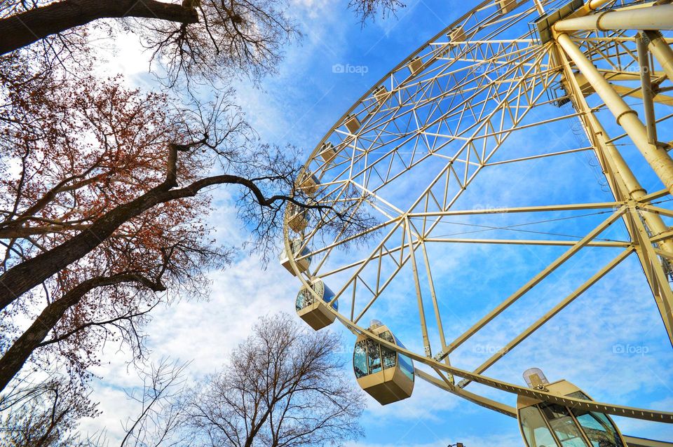 ferris wheel view from below on the cabin and trees