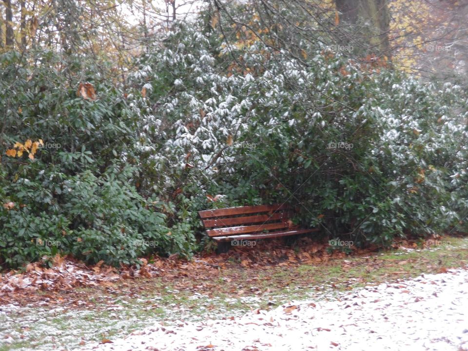 Parc de Mariemont , la louviere