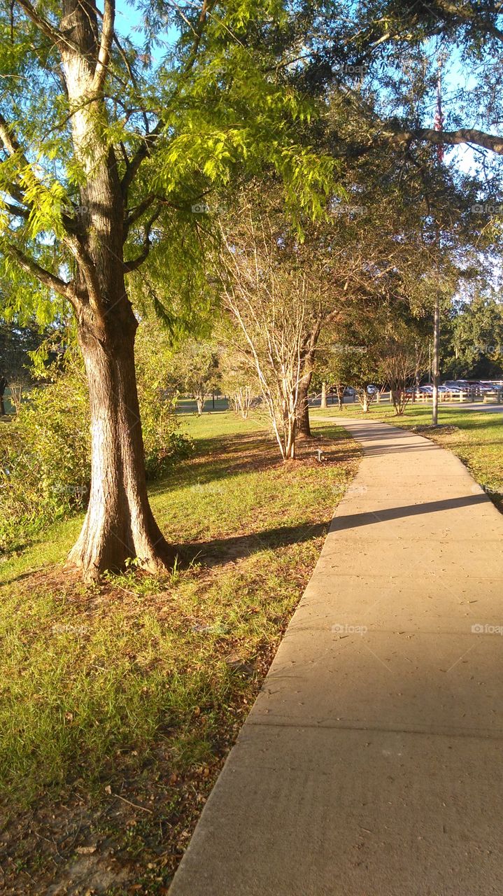 Winding Sidewalk