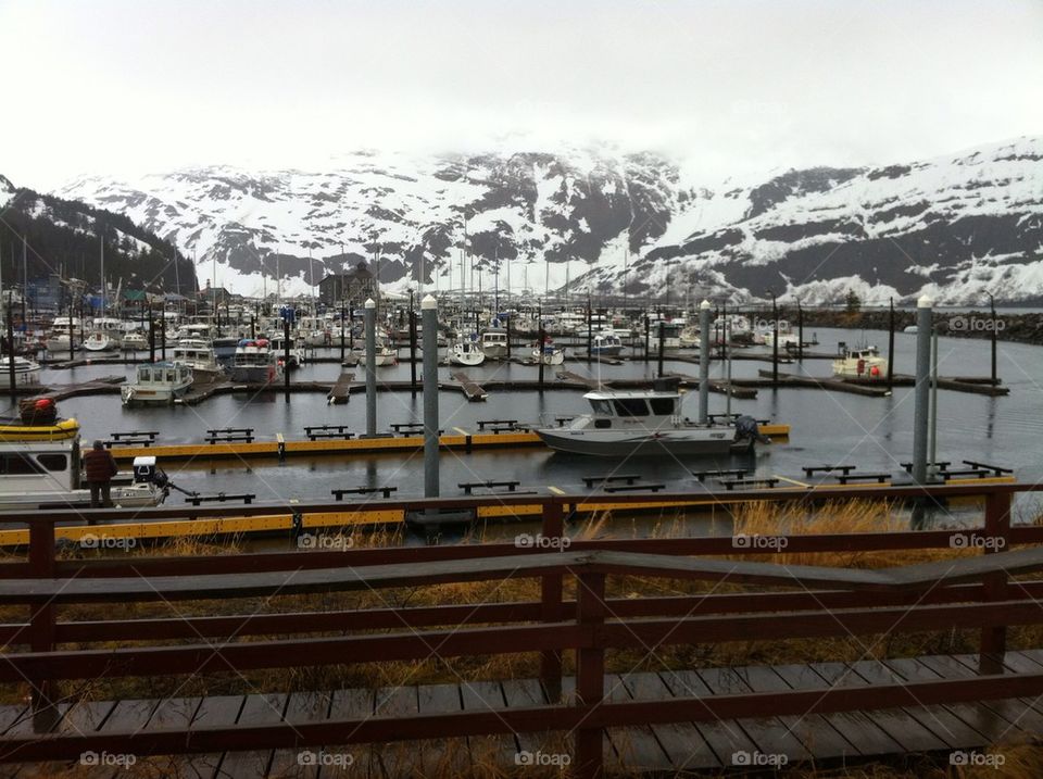 Harbor Seward Alaska 