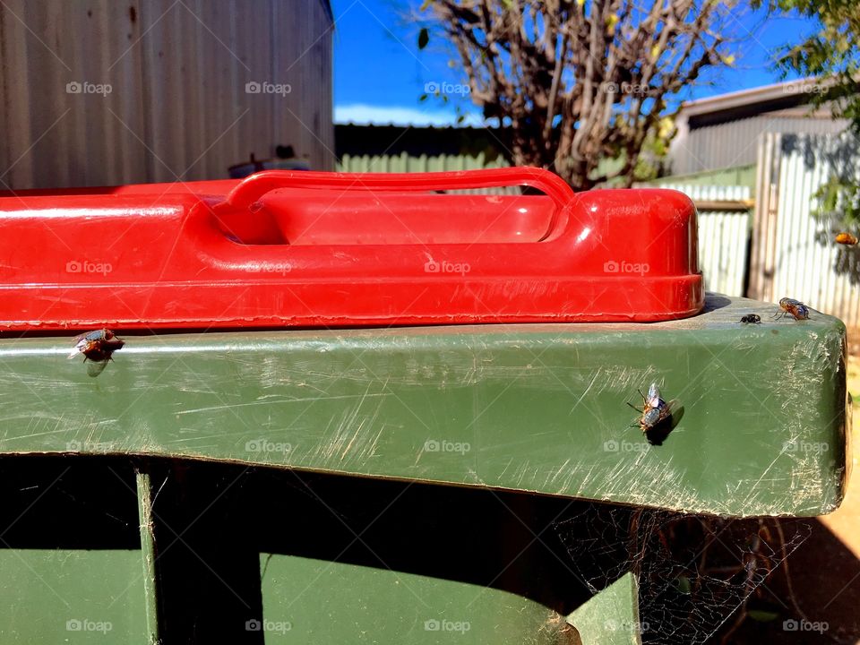 Red Lid of outdoor trash garbage rubbish bin 