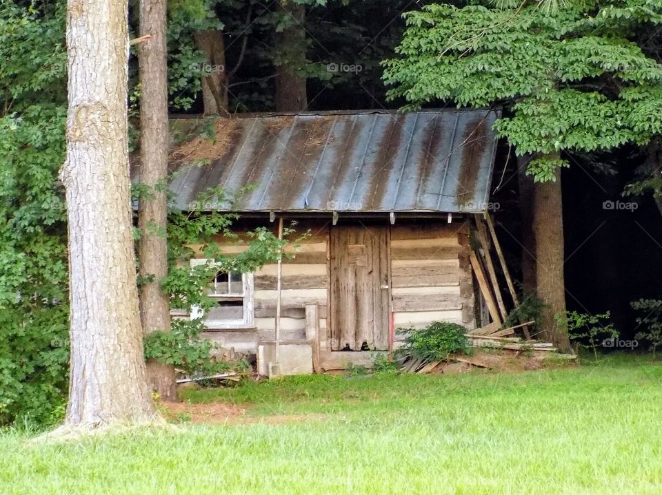 Cabin in the woods