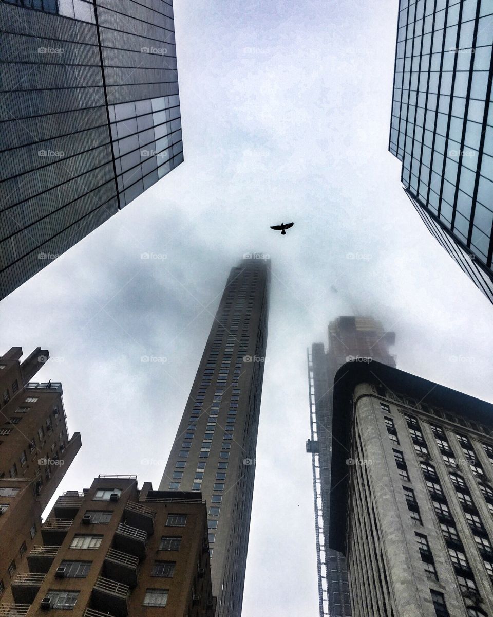 Nyc, new york, building, fog, skyscraper