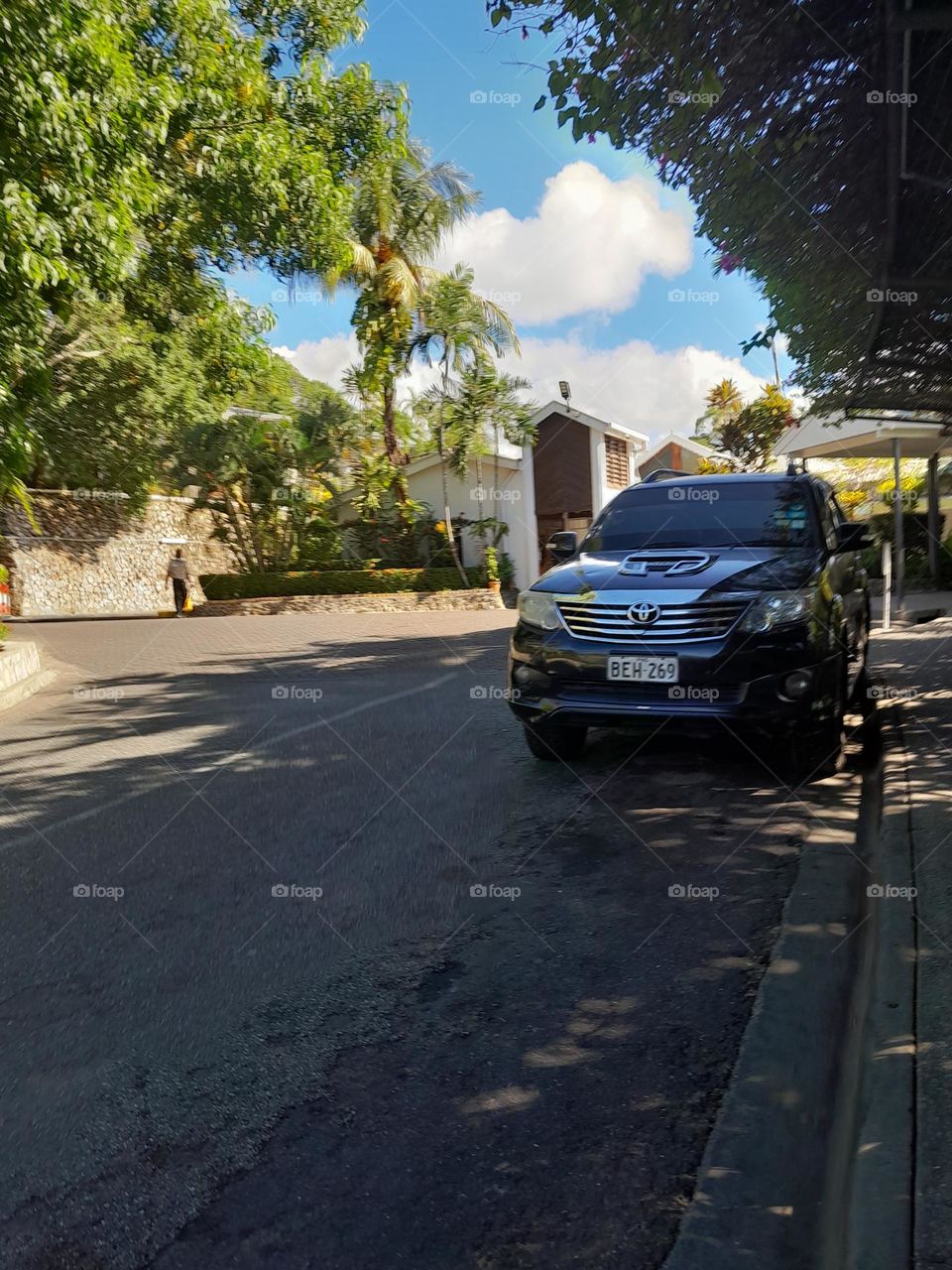 Another beautiful day with my best advendture buddy