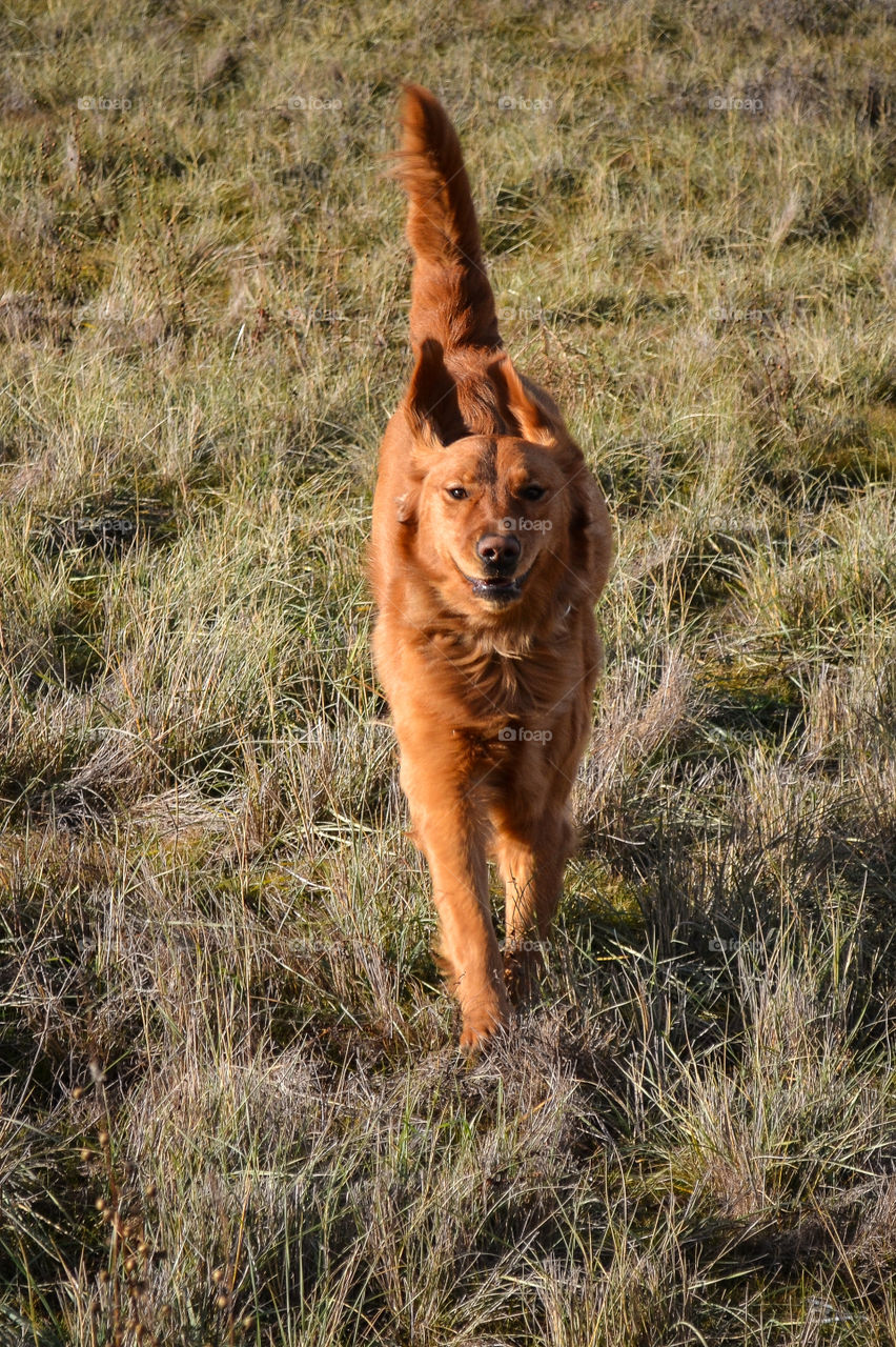 Running with a smile! 