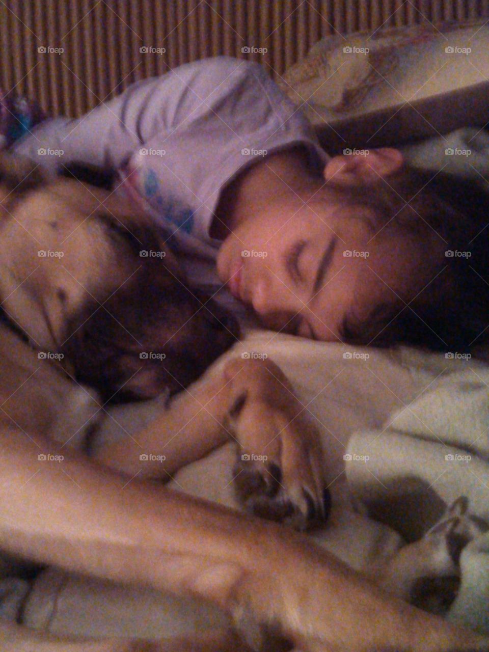 best friends. after a long movie day at home. the two of them passed out on me lol.