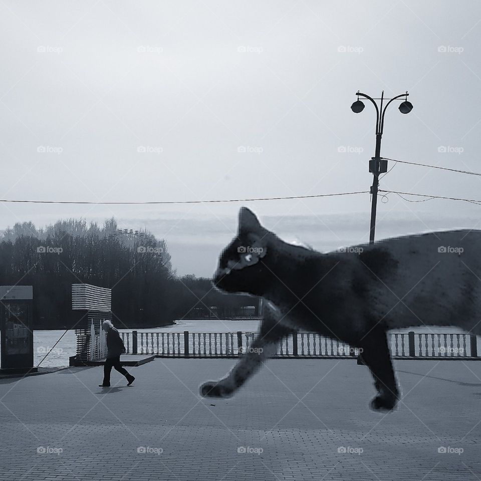 Embankment.  The man is followed by a huge black cat