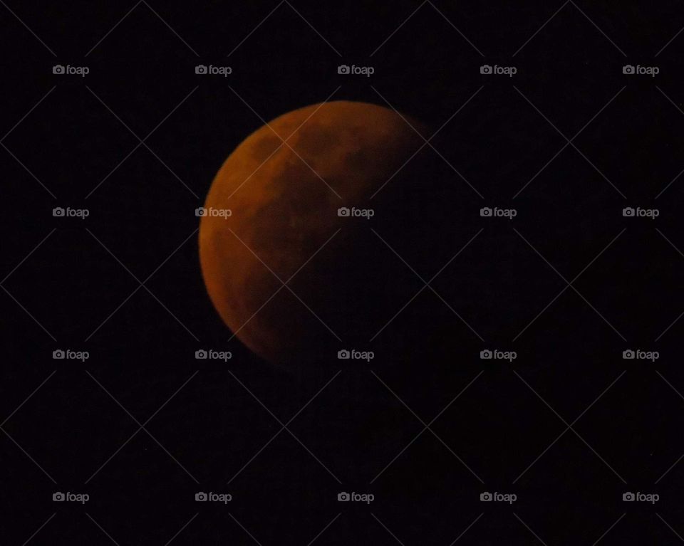 Blood moon. Oranje with felt reddish coloured of moon. The moon looking for blood from the earth.