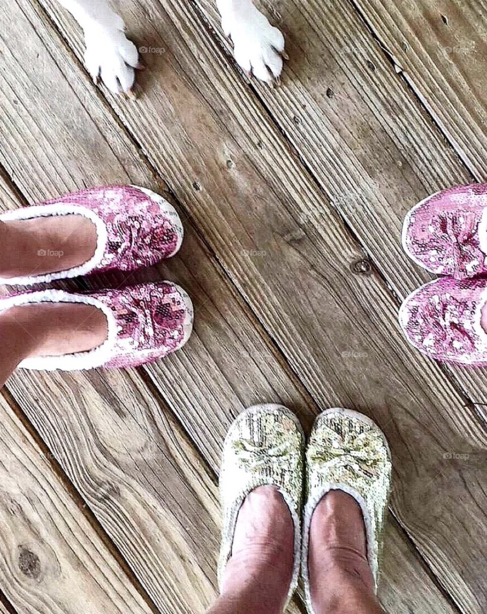 Sparkles slippers dog feet by sunnysmiles 