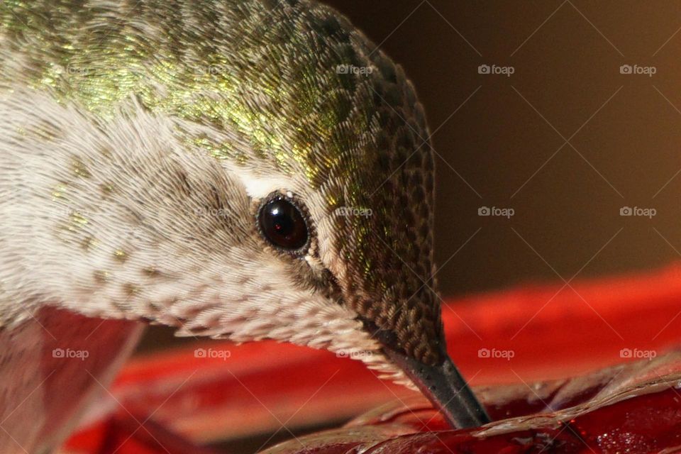 Up close and personal 