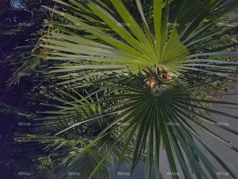 There below the texture.