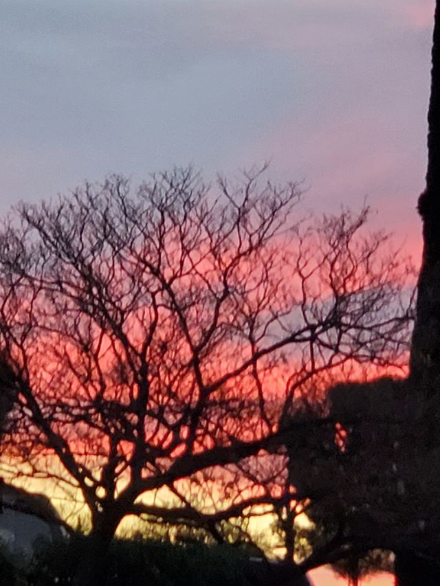 High Desert Sunset
