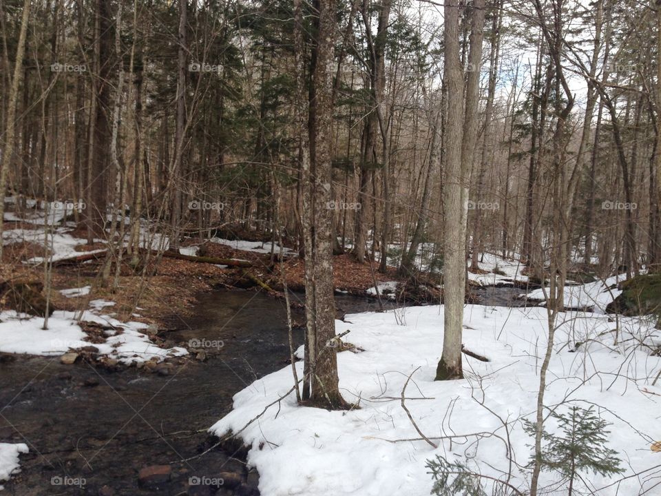 Snowy stream