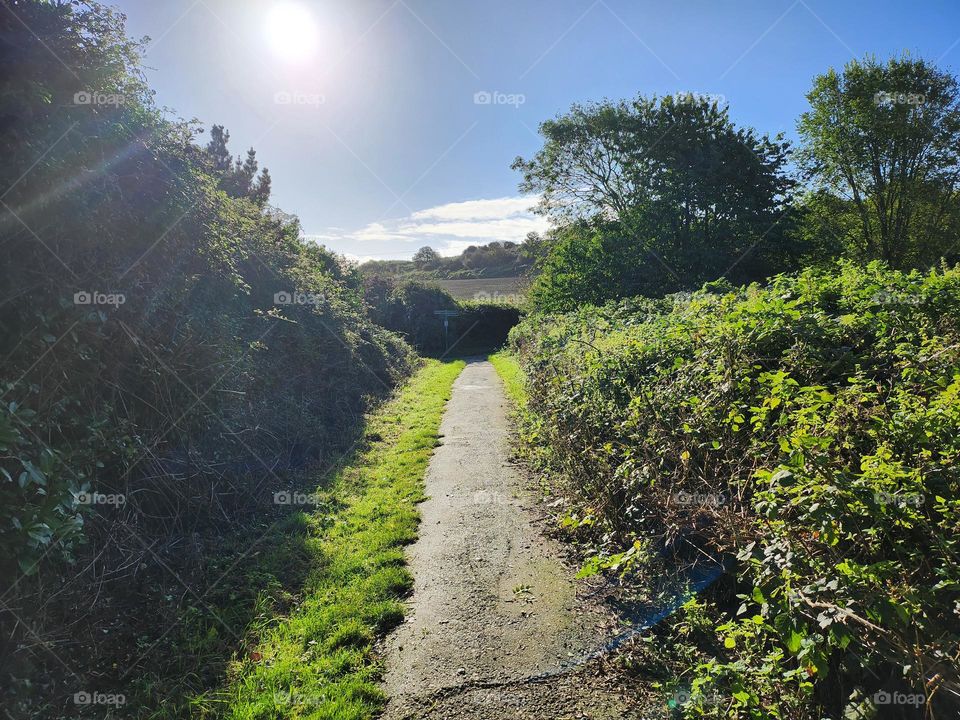 country lane path