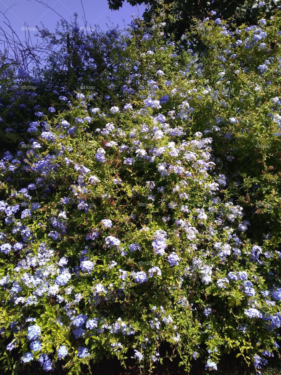 Editors' Choice - Photo of the Week