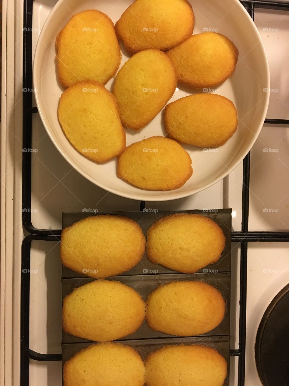 Home made Madeleines 