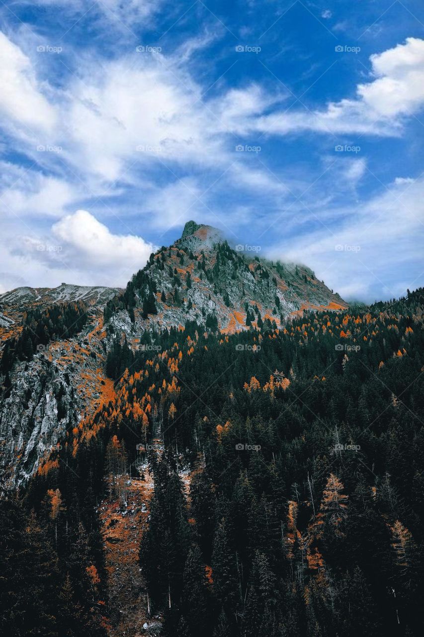 Beautiful mountain and forest natural landscape