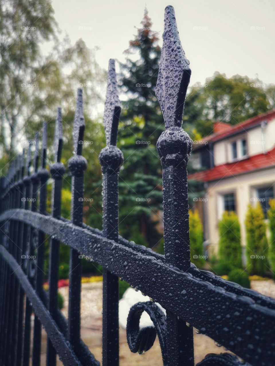 Wrought-iron fence in raindrops