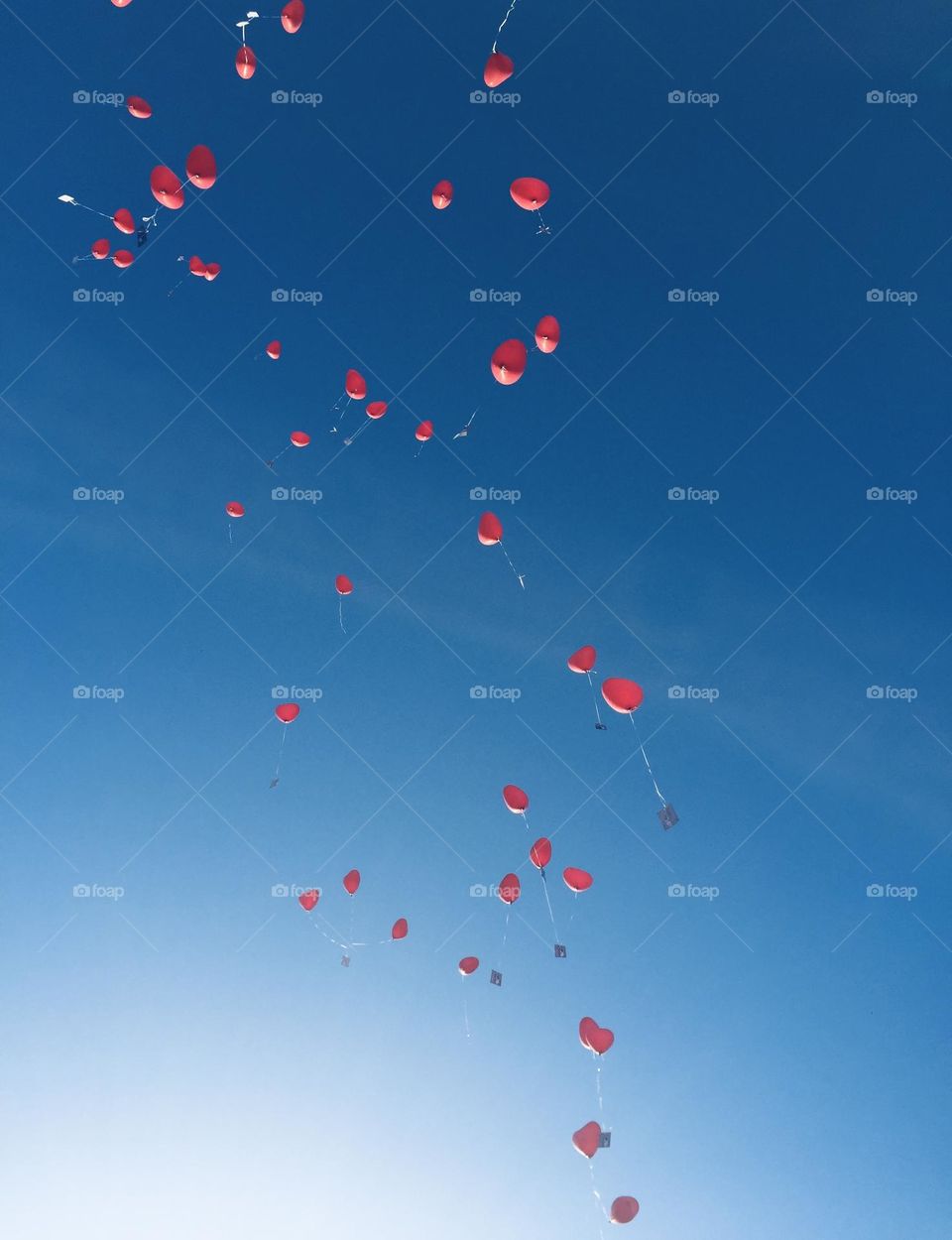 Heart-shaped helium balloons flying into the blue sky with a message attached to them.