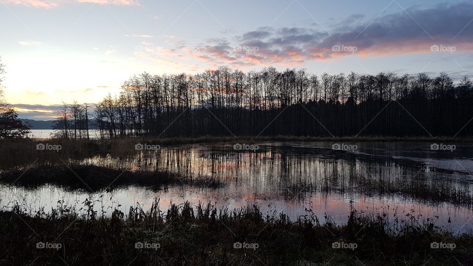 Swedish forest landscape in late autumn, sunset by the lake , solnedgång skog sjö sen höst, natur landskap Sverige 