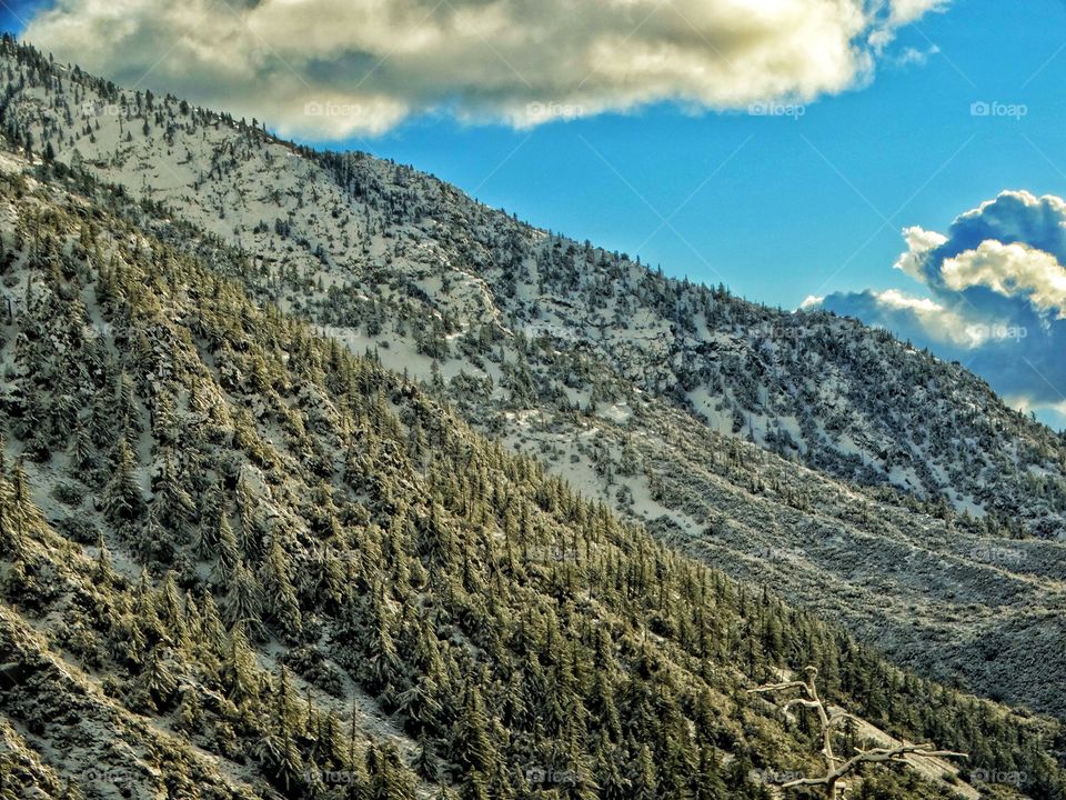 San Gabriel Mountains In Winter