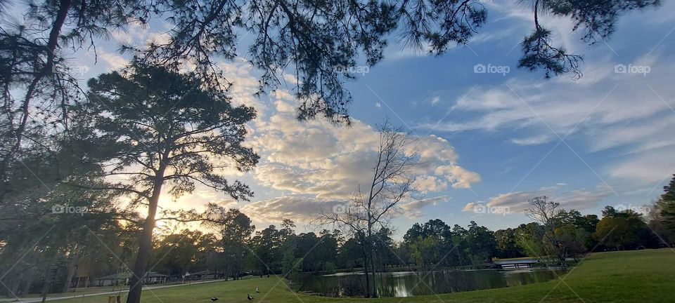 Beautiful Nature Scene in Spring