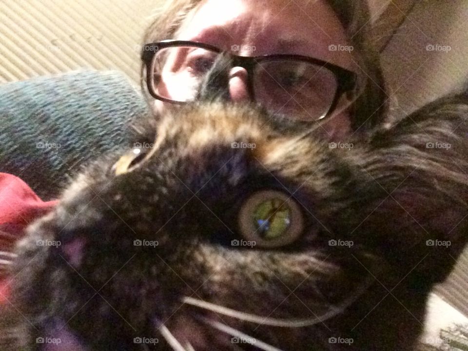 Photo bombed by a kitty!