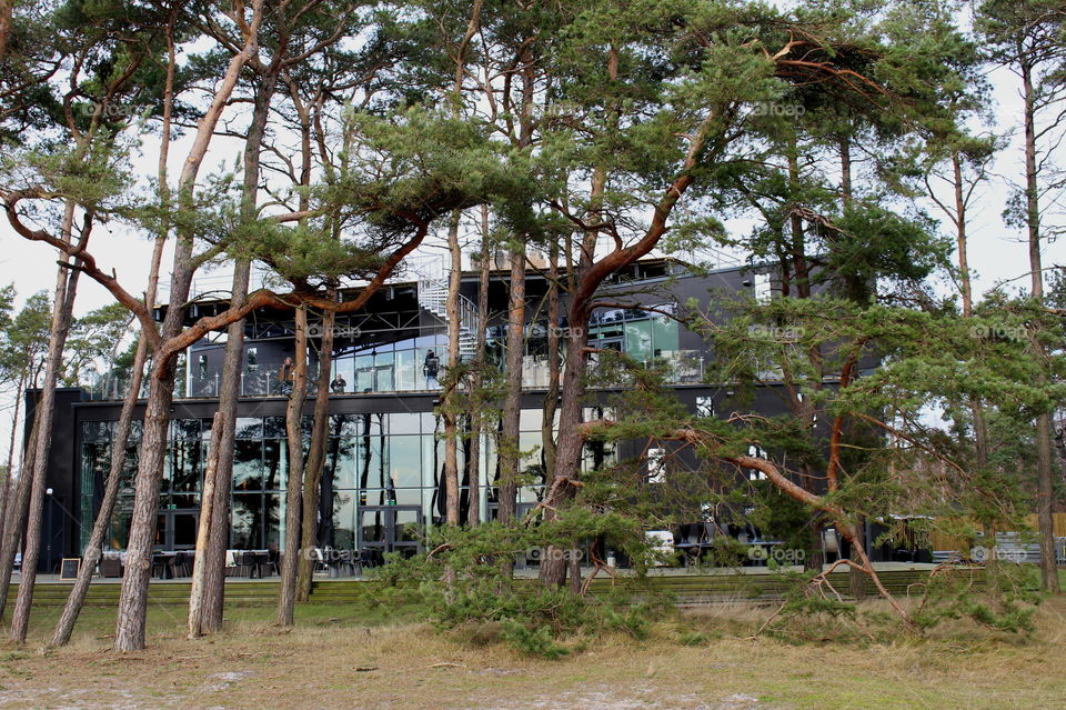 Naturum, Falsterbo, Sweden.