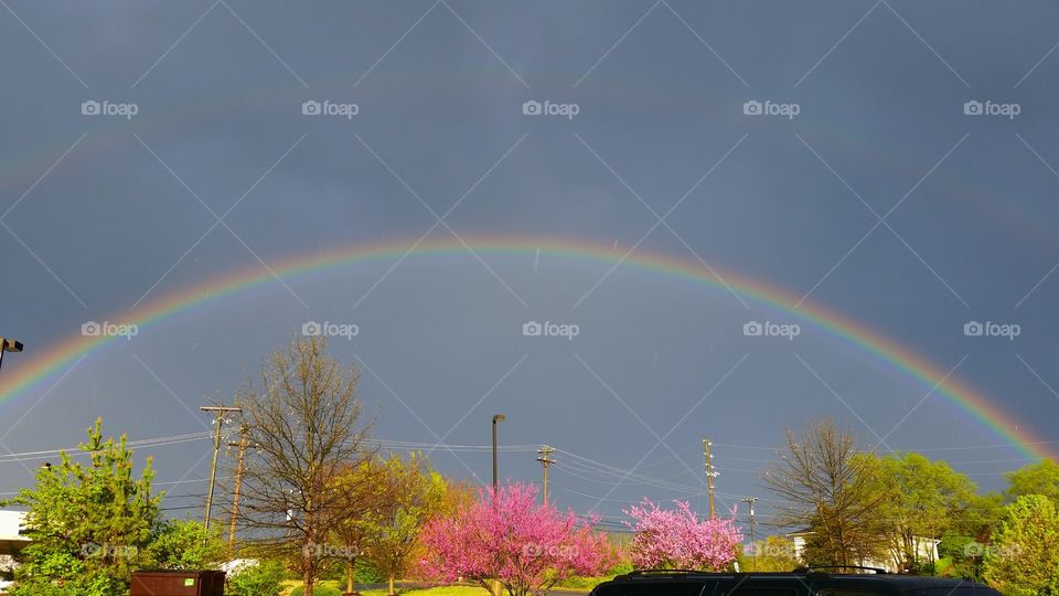 Tennessee Rainbow