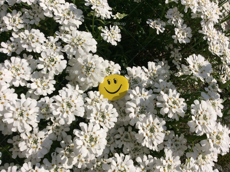 "Happy Flower"