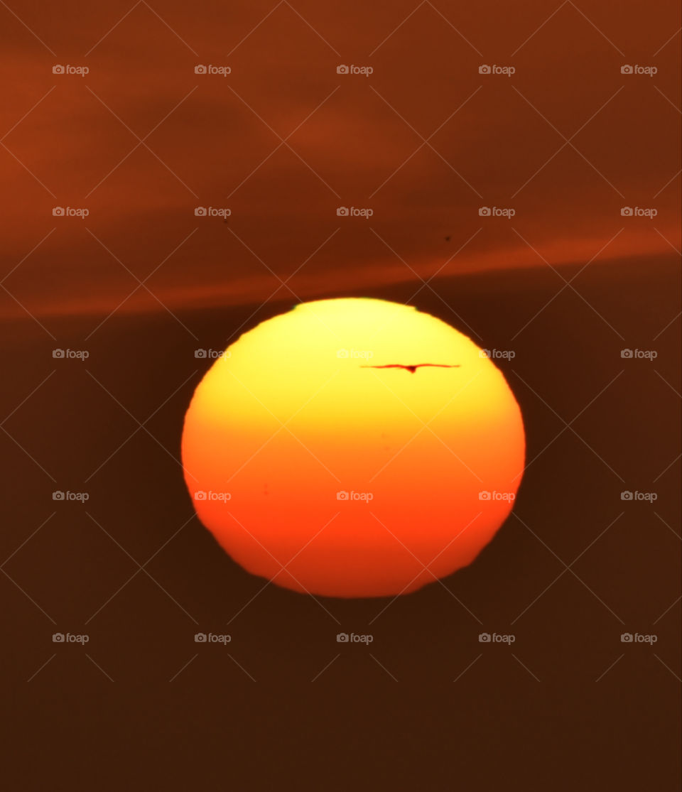 a perfect sunset has the blend if gold,warmth of mother and calmness of night