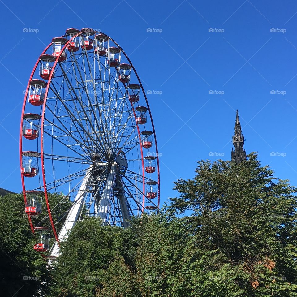 Ferris wheel among trees