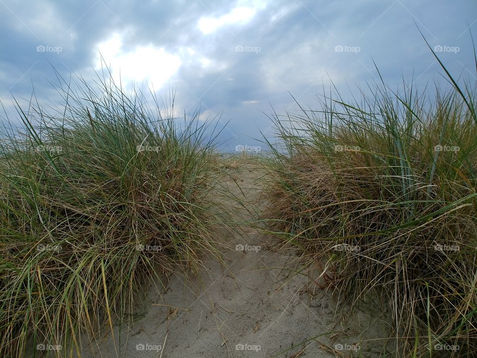 Strand gras düne himmel heaven sky wolken sand oben hoch aufwärts zukunft