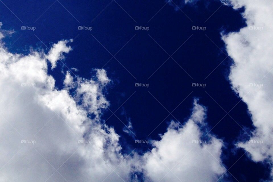 What dreams may come...