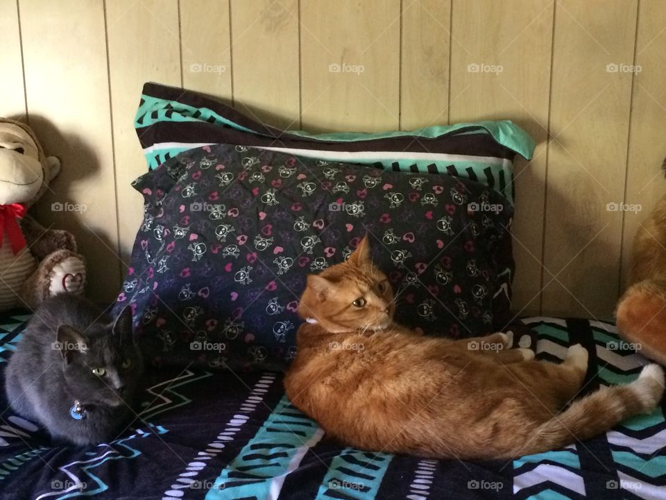 Holly and Morris relaxing 