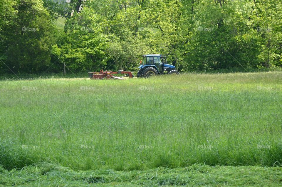 cutting hay