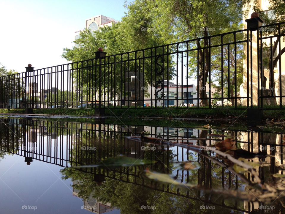 Fence park and trees seen reflected through a water pond