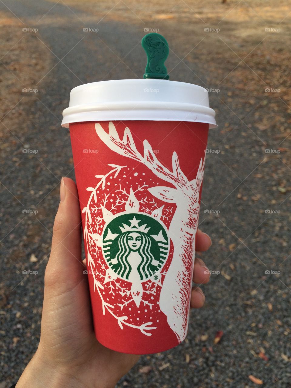 Holiday cups are in! Loving them!