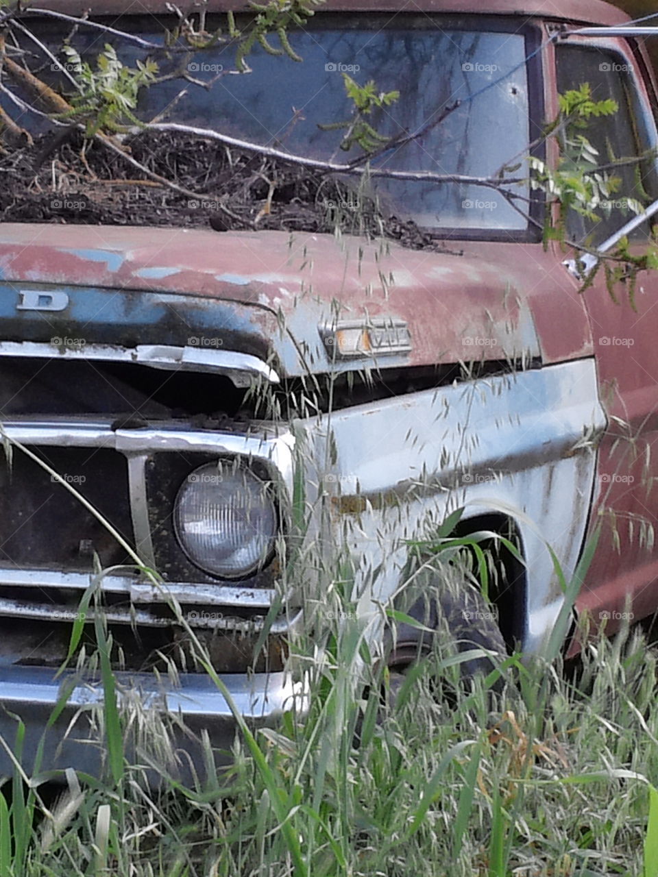 Rusty old truck