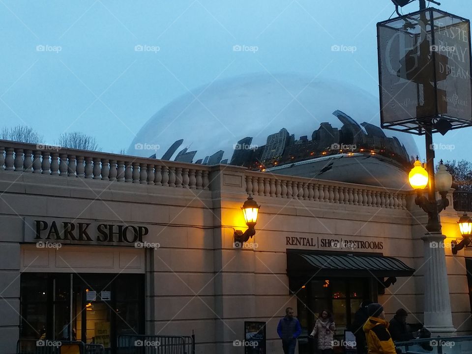 The Lima Bean, Chicago