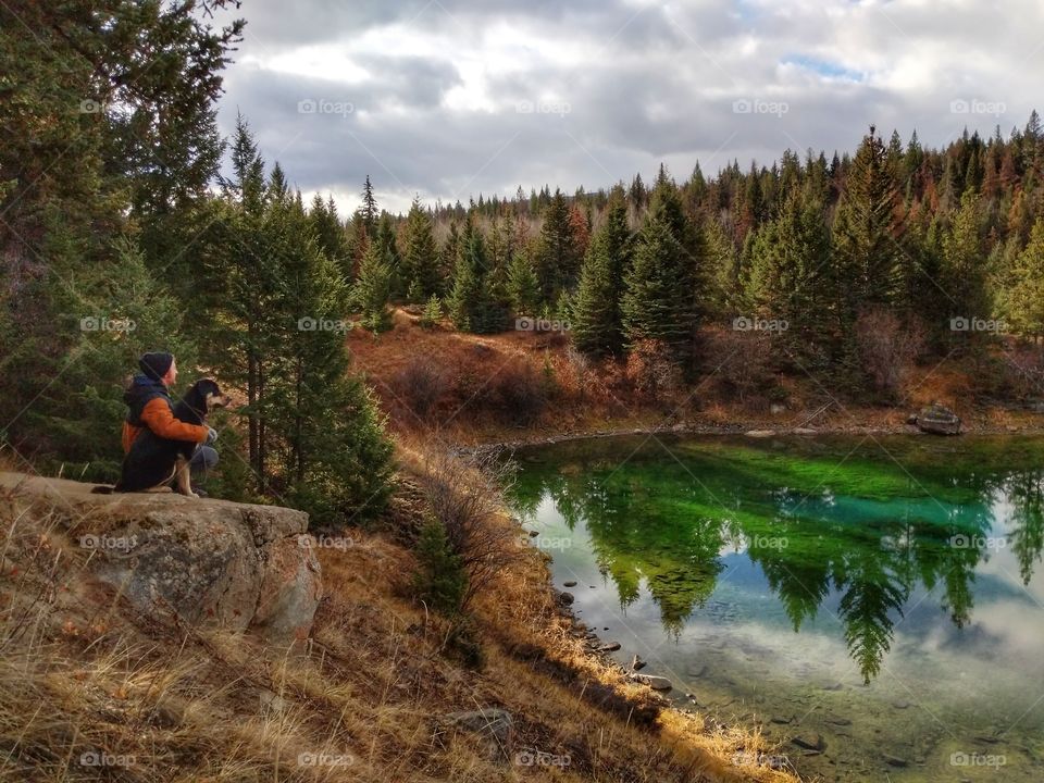 Mans Best friend overlooking reflecttions