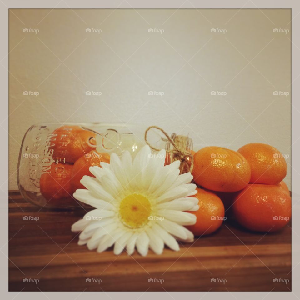 Clementine daisy