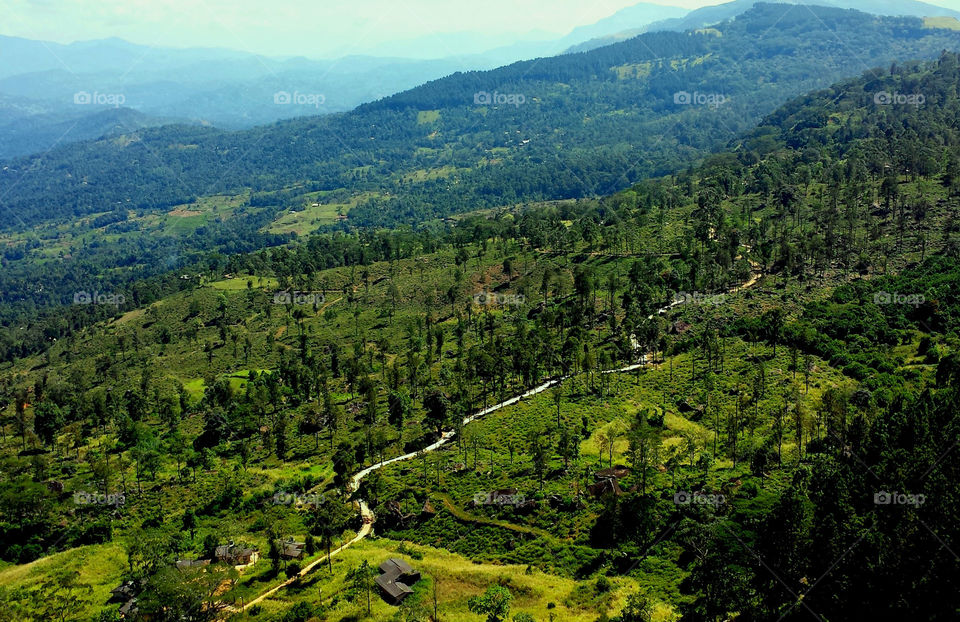 view from mountain Hanthana,Srilanka.