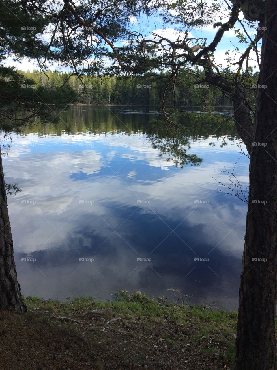 Tyttbo Dalarna in Sweden . Dalälven Tyttbo in Sweden